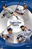 Tampa Bay Rays Team Longoria Upton Price Zobrist Poster Poster Print, 22x34