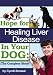 Hope For Healing Liver Disease In Your Dog: The Complete Story