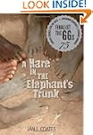 A Hare in the Elephant's Trunk
