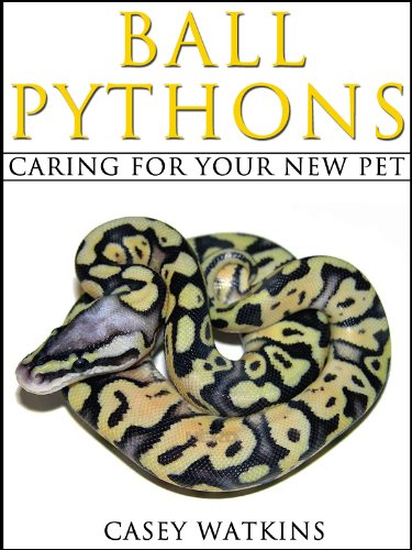 Ball Pythons: Caring For Your New Pet (Reptile Care Guides)