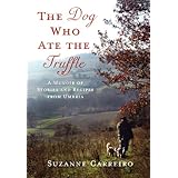 the dog who ate the truffle a memoir of stories and recipes from umbria