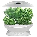 AeroGrow AeroGarden 6 with Gourmet Herb Seed Kit, White