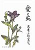 愛と死 (新潮文庫)