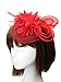Anita Women's fascinators Small hairpin feather hat