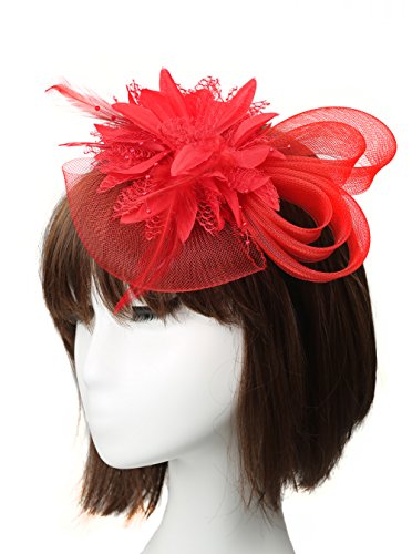 Anita Women's fascinators Small hairpin feather hat