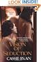 Vision of Seduction (Seduction Series, Book 2)