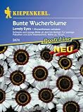 Eigenschaften Kiepenkerl - Blumen-Saatgut  / Chrysanthemum carinatum Wucherblume Lovely Eyes