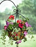 Outdoor Living : Tom Chambers Fhf14 Spanish Hanging Basket 14In P