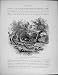 Palestine 1881 Shepherd'S Field Bethlehem Rachel'S Tomb