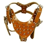 Brown Spiked