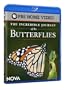 NOVA: The Incredible Journey of the Butterflies [Blu-ray]