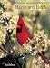 Pomegranate Backyard Birds Standard Boxed Note Card Set (Pack of 2)