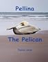 Pellina The Pelican