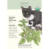 Catnip Certified Organic Seeds 450 Seeds