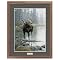 Quiet Water and Moose Framed Art