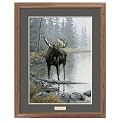 Quiet Water and Moose Framed Art