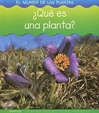 Que Es una Planta? (Mundo de las Plantas (World Of Plants))