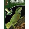 Le dragon d'eau : Physignathus cocincinus