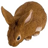 山善(YAMAZEN) アニマルガーデン ウサギ AG-U750E