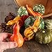 Faux Autumn Gourds, Polysilk Leaves and Natural Pinecones - Fall Decorating Kit