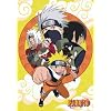 NARUTO - Poster Naruto group (98x68) Roul�