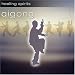 Healing Spirits: Qigong