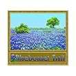 Bluebonnet Trail Coverlet