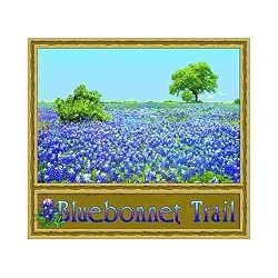 Bluebonnet Trail Coverlet