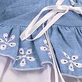 Medium Springtime Chambray Corset Dog Dress