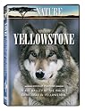 Nature: Yellowstone