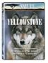 Nature: Yellowstone