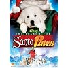 The Search for Santa Paws