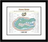 2007 Florida Gators NCAA Framed Photograph Tournament Brackets