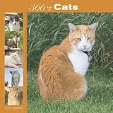 Cats 366 Days 2008 Square Wall Calendar