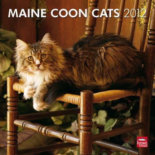 Maine Coon Cats 2012 (Multilingual Edition)