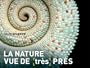 La Nature vue de (tr�s) pr�s