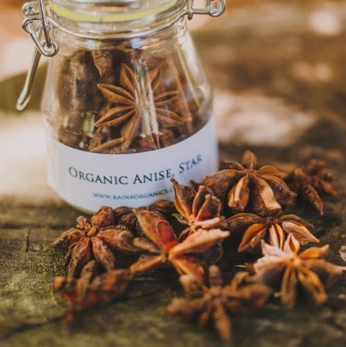 Organic Anise, Star - 0.8 oz Small Glass Jar