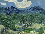 The Olive Trees By Vincent Van Gogh Canvas Art Print 12x16