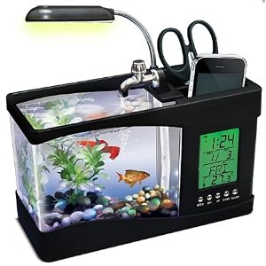 Best USB Fish Tanks For The Office