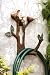 Bird & Branch Hose Holder