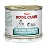Royal Canin Starter Mousse 12 x 195 g