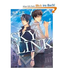Sky Link (Yaoi Manga)