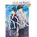 Sky Link (Yaoi Manga)