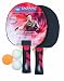 Donic Schildkrot Waldner Bronze Allround 2 Player Set