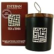 Teck & Tonka (Teak Woodsy) Scented Decorative Candle by Esteban Paris