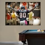 NFL Andre Johnson Celebration Mural Vinyl Wall Graphic Decal Sticker Poster