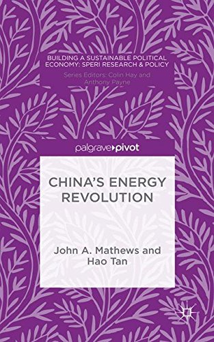 China's Renewable Energy Revolution (Building a Sustainable Political Economy: SPERI Research & Policy)