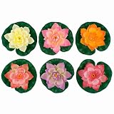 Water Pond Decor