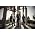 Miniaturansicht von As I Lay Dying