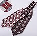 SetSense Men's Plaid Jacquard Woven Self Cravat Tie Ascot